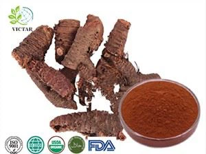 Ekstrakt z rhodiola rosea