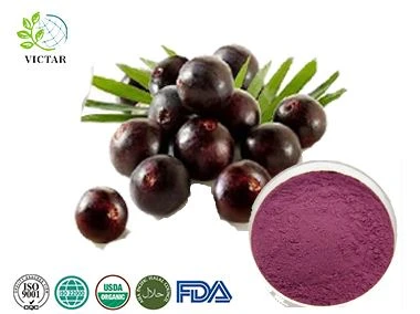 Sproszkowany sok z jagód acai