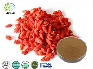 Ekstrakt z kolcowoju pospolitego