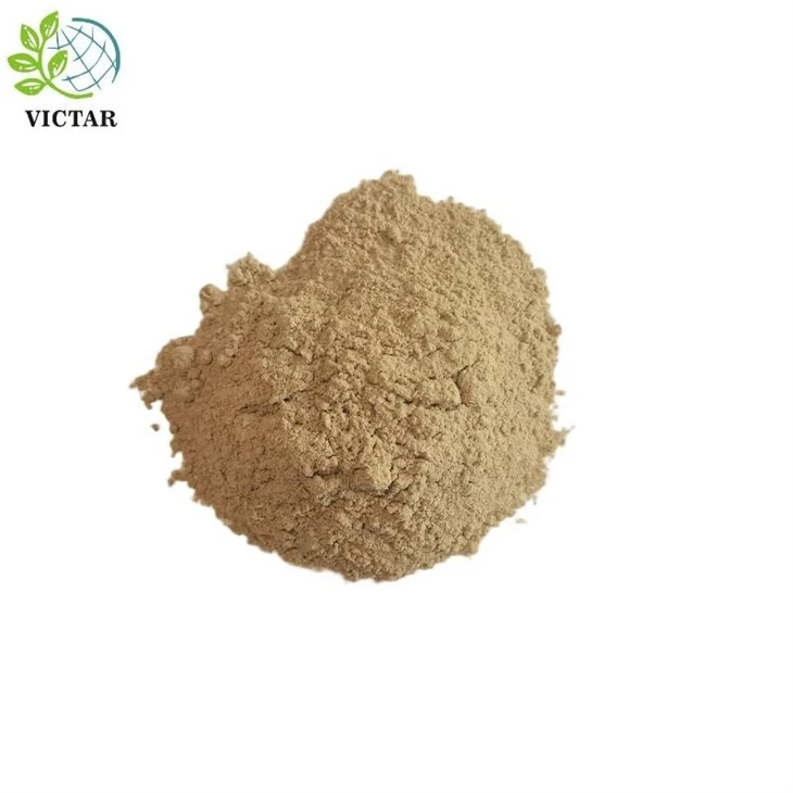 Astragalus w proszku