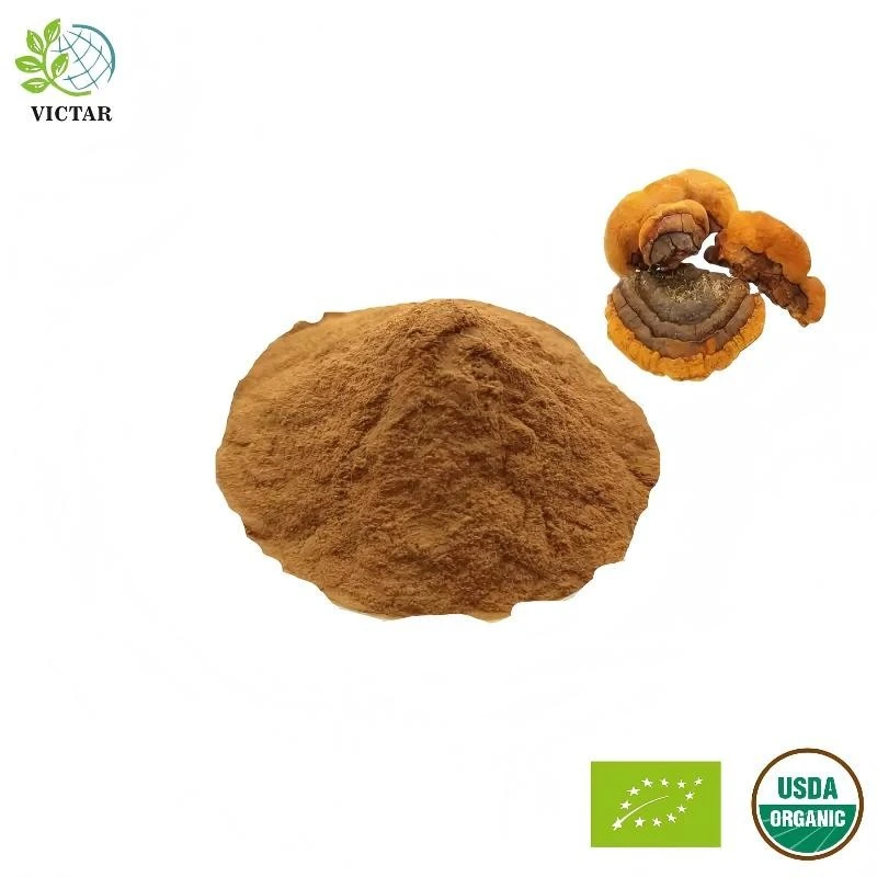 Organiczny ekstrakt z Phellinus Linteus