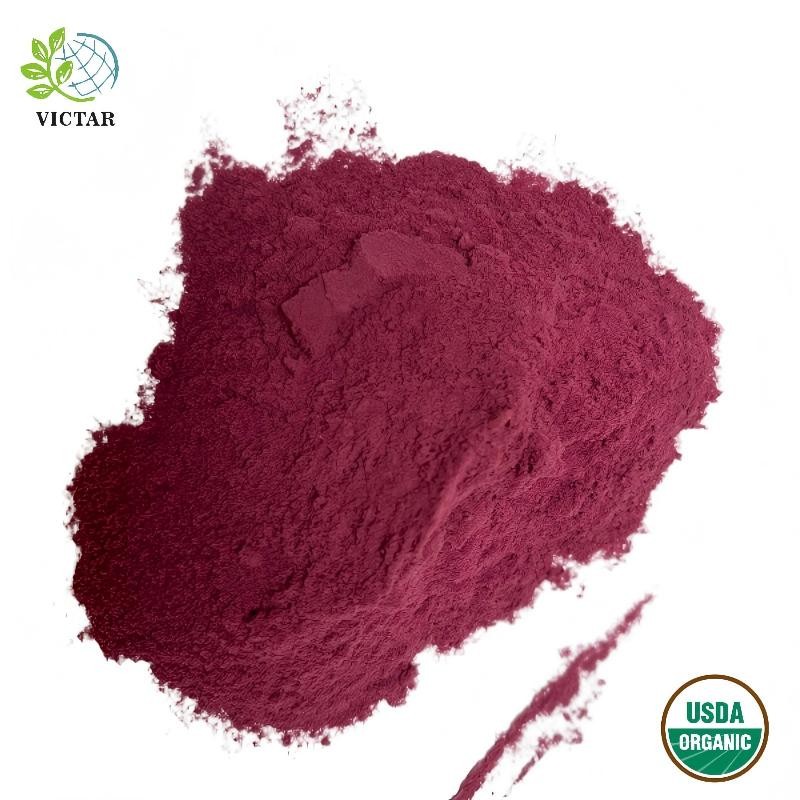 Organiczny proszek z jagód Acai
