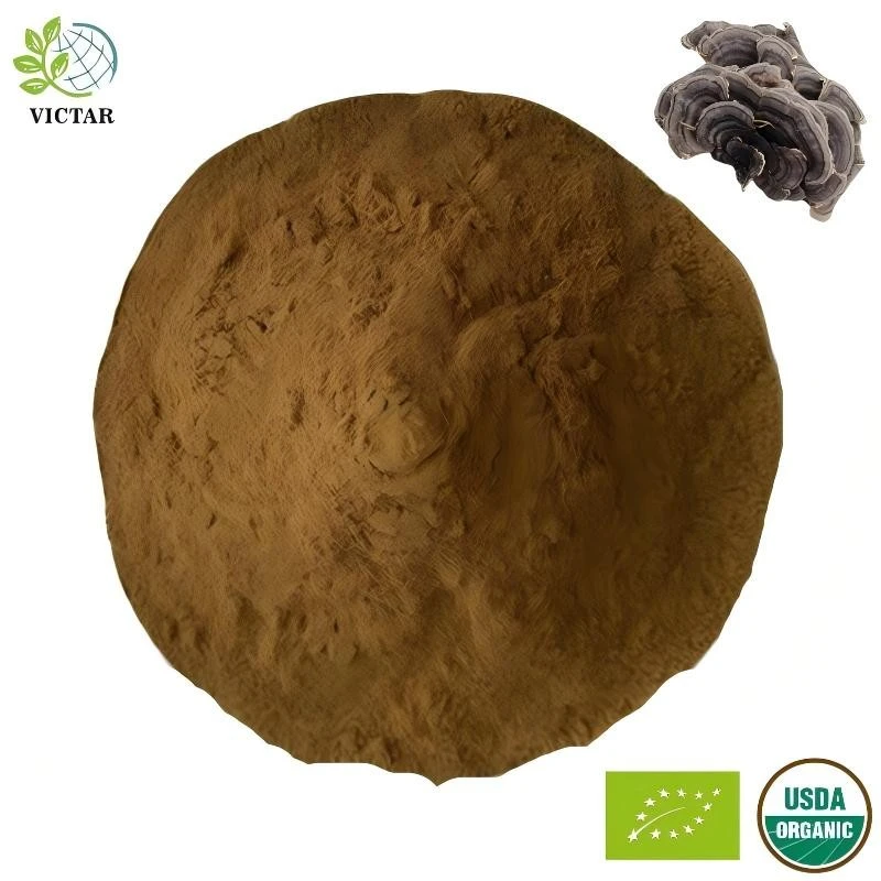 Organiczny ekstrakt Coriouls Versicolor