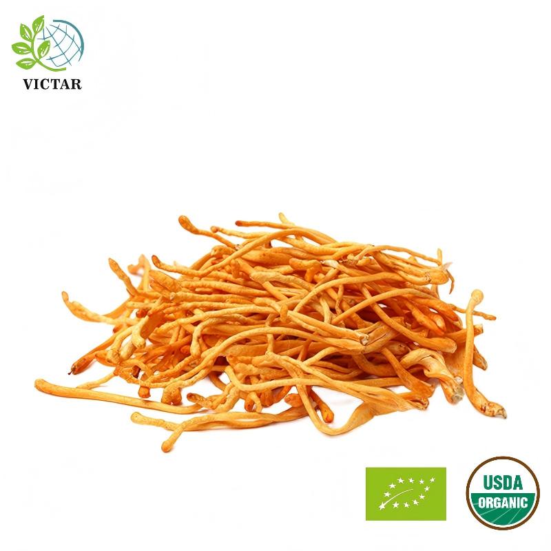 product-800-800