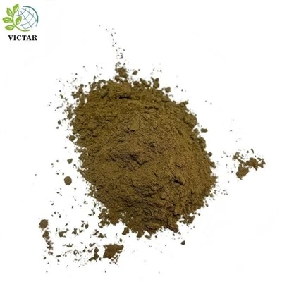 Oregano w proszku